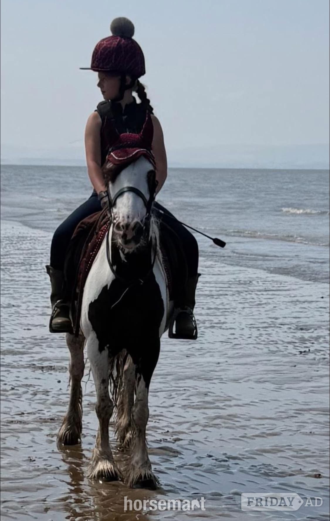 "marble" Blue &amp; White Mare All Rounder