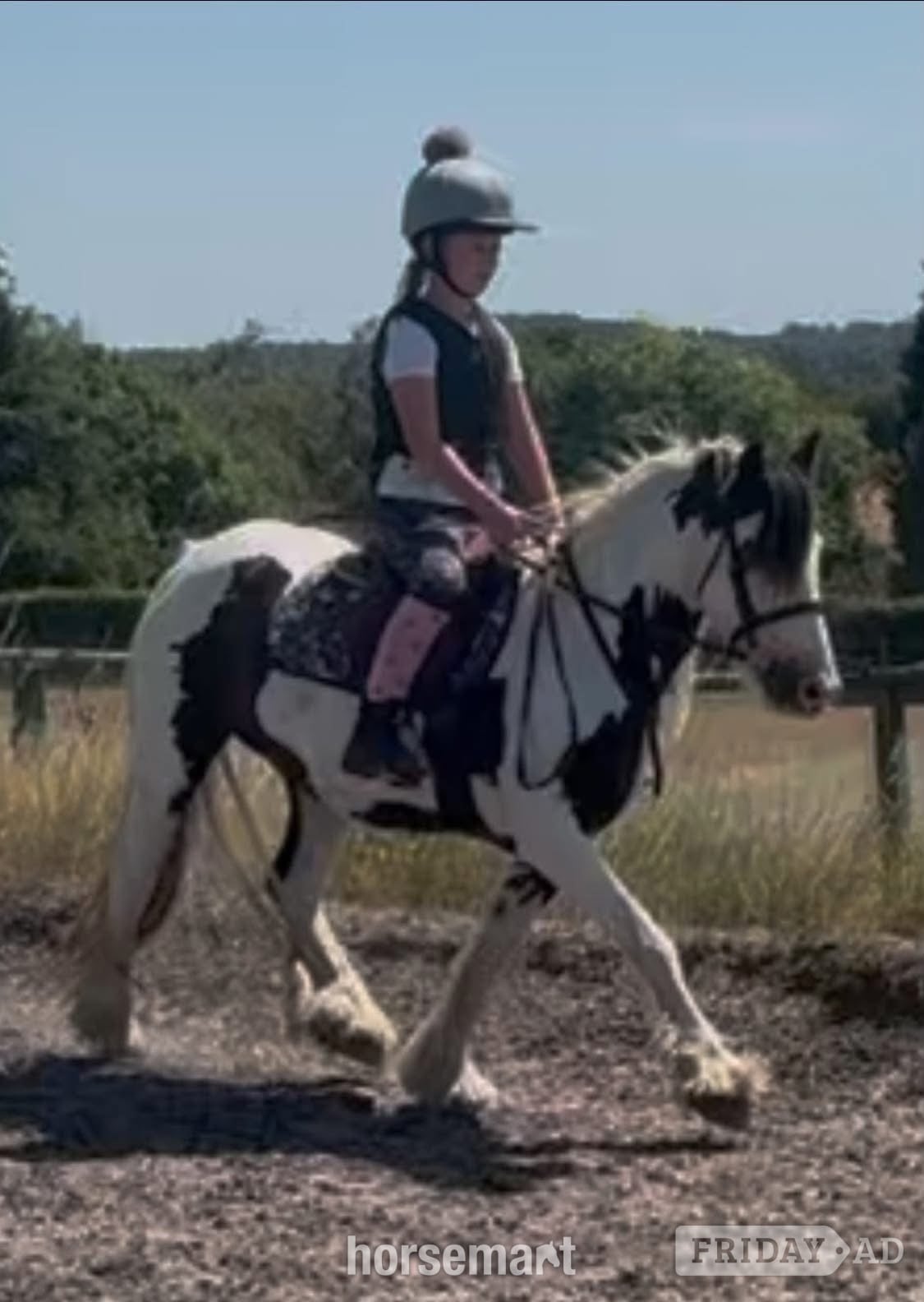 Stourbridge "marble" Blue &amp; White Mare All Rounder