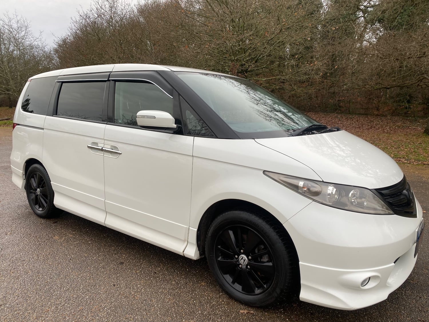 [ berth ]Honda Elysion