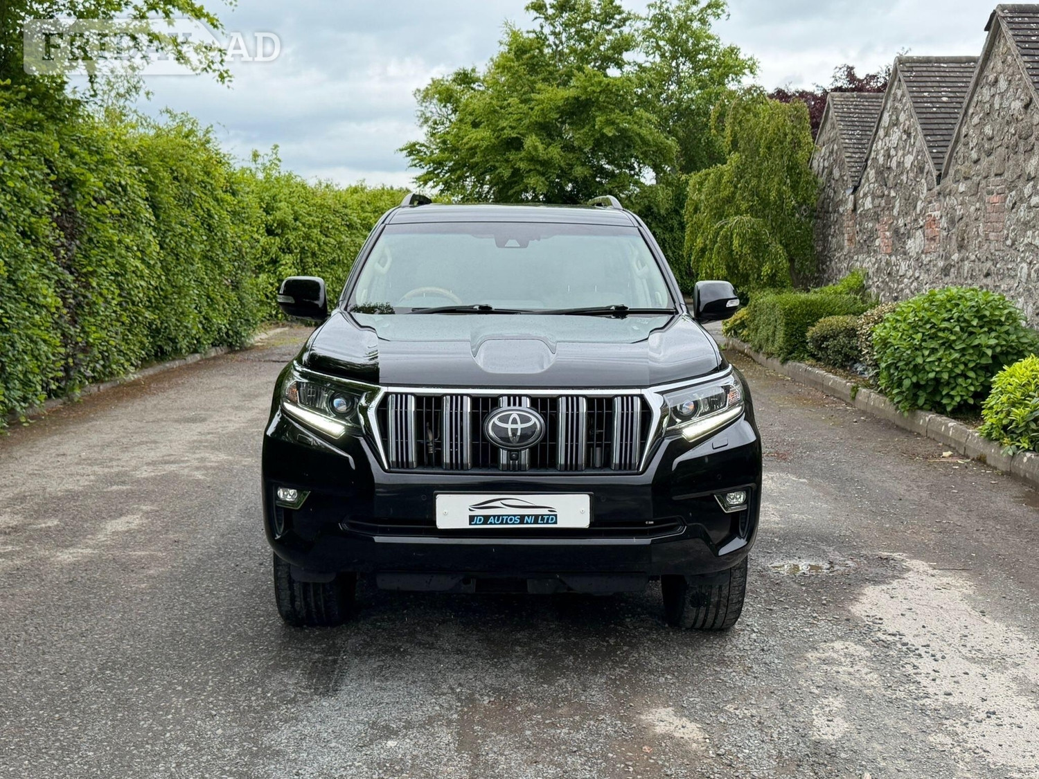 Toyota Land Cruiser Craigavon