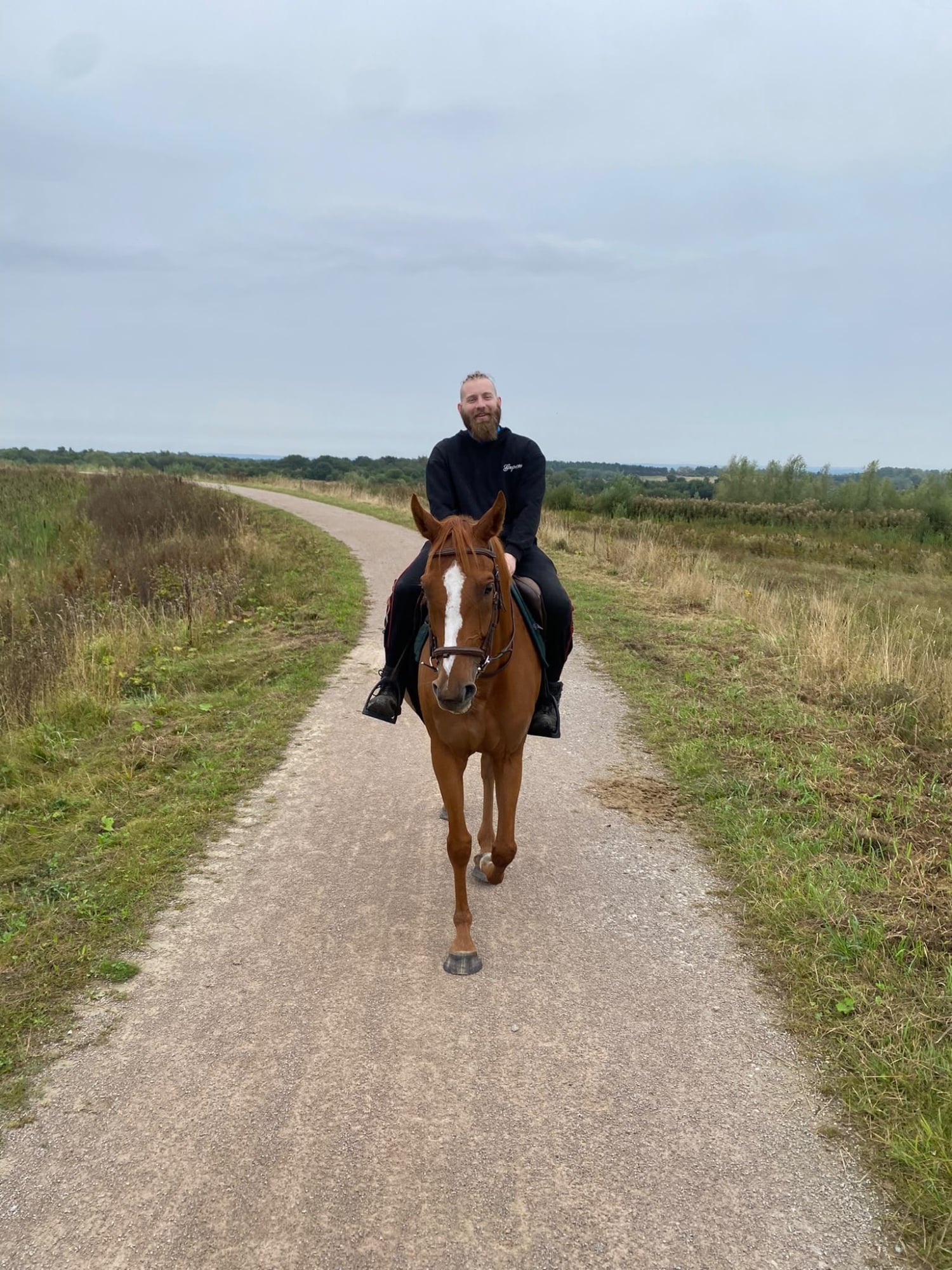 "Freaky " Chestnut Mare All Rounder - Horses in Manchester