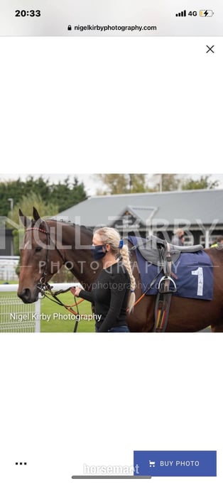 "Breffni boy " Bay Gelding Ex Racehorse