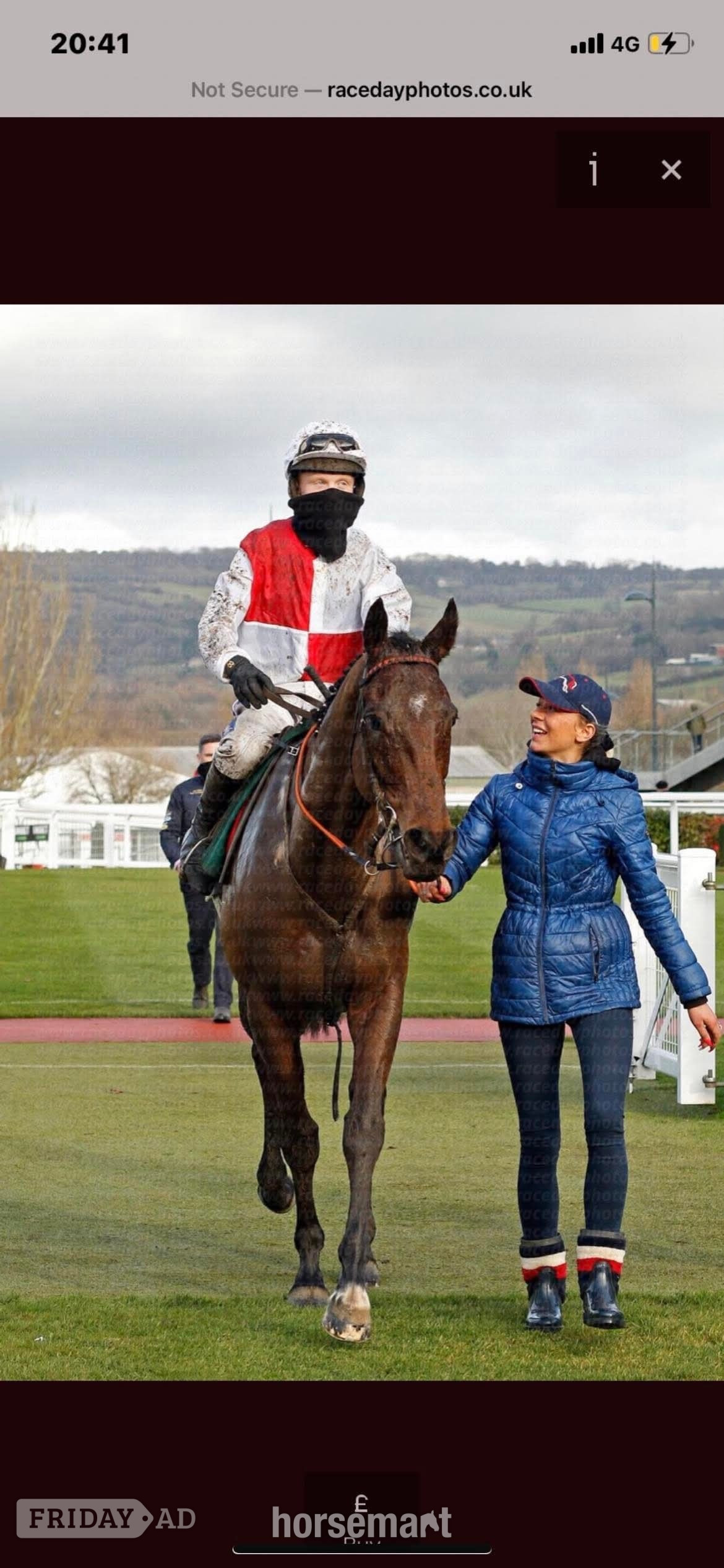 "Breffni boy " Bay Gelding Ex Racehorse