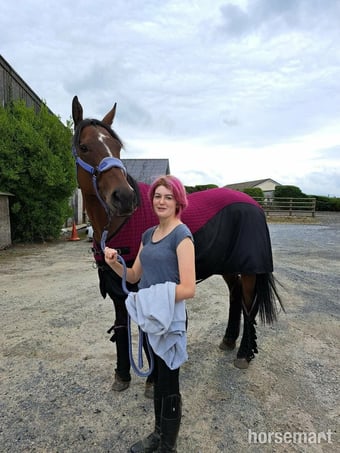 "Angel" Dark Bay Mare Ex Racehorse