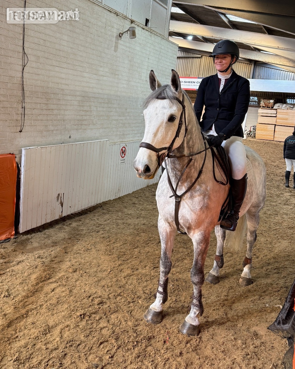 "River" Grey Gelding All Rounder -  in Bury St. Edmunds