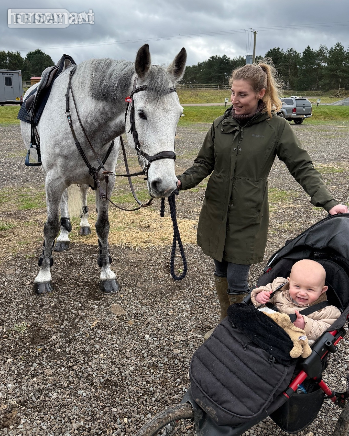 "River" Grey Gelding All Rounder - 