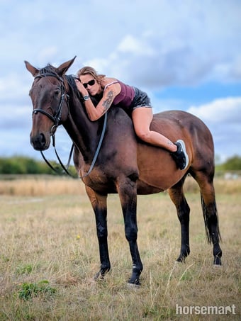 "Fists of Fury (Bruce)" Dark Bay Gelding All Rounder