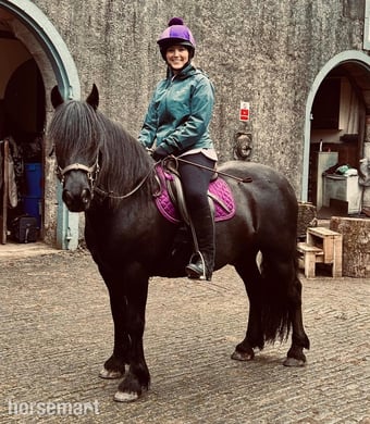 "Pride" Black Gelding Mountain & Moorland Pony
