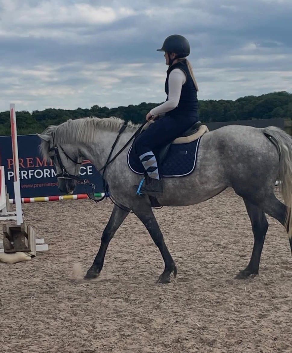 King's Lynn "Lilly" Grey Mare All Rounder