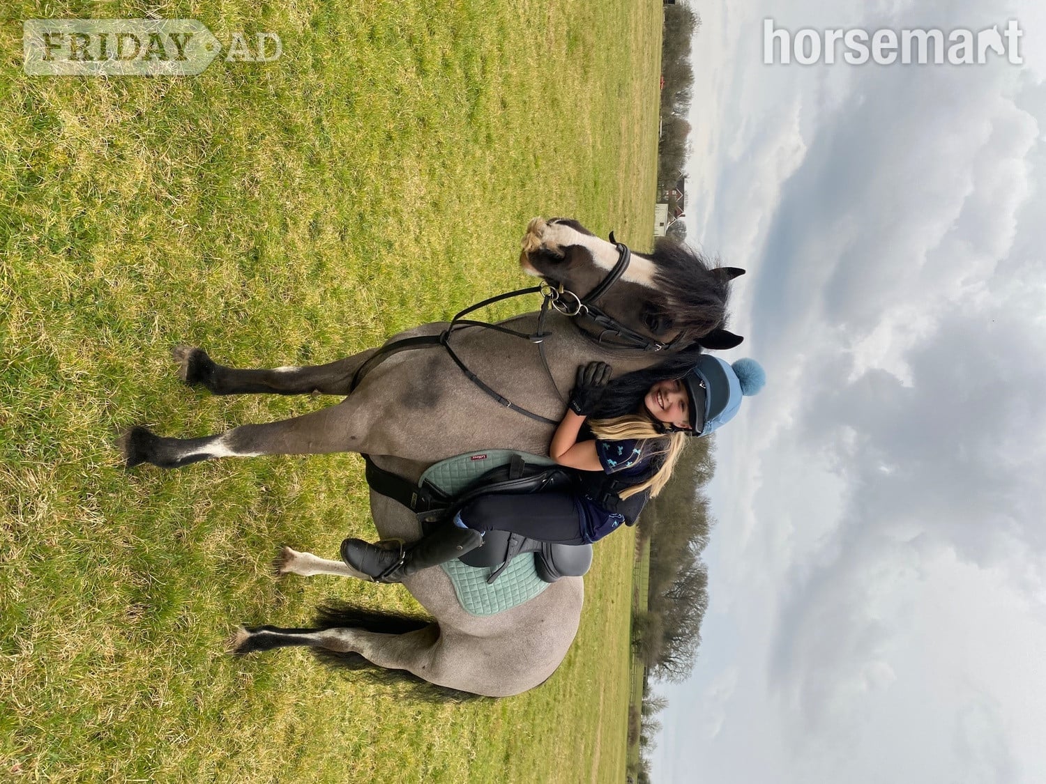 "Rolo" Black Roan Gelding Hunter