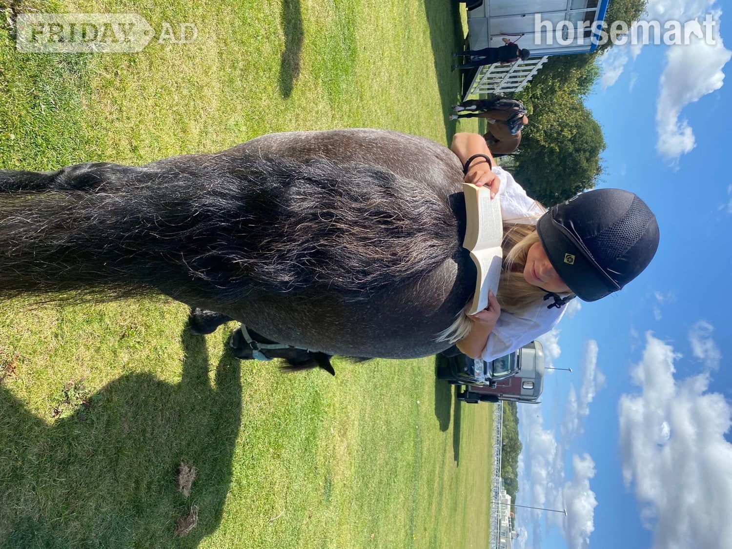 Warwick "Rolo" Black Roan Gelding Hunter