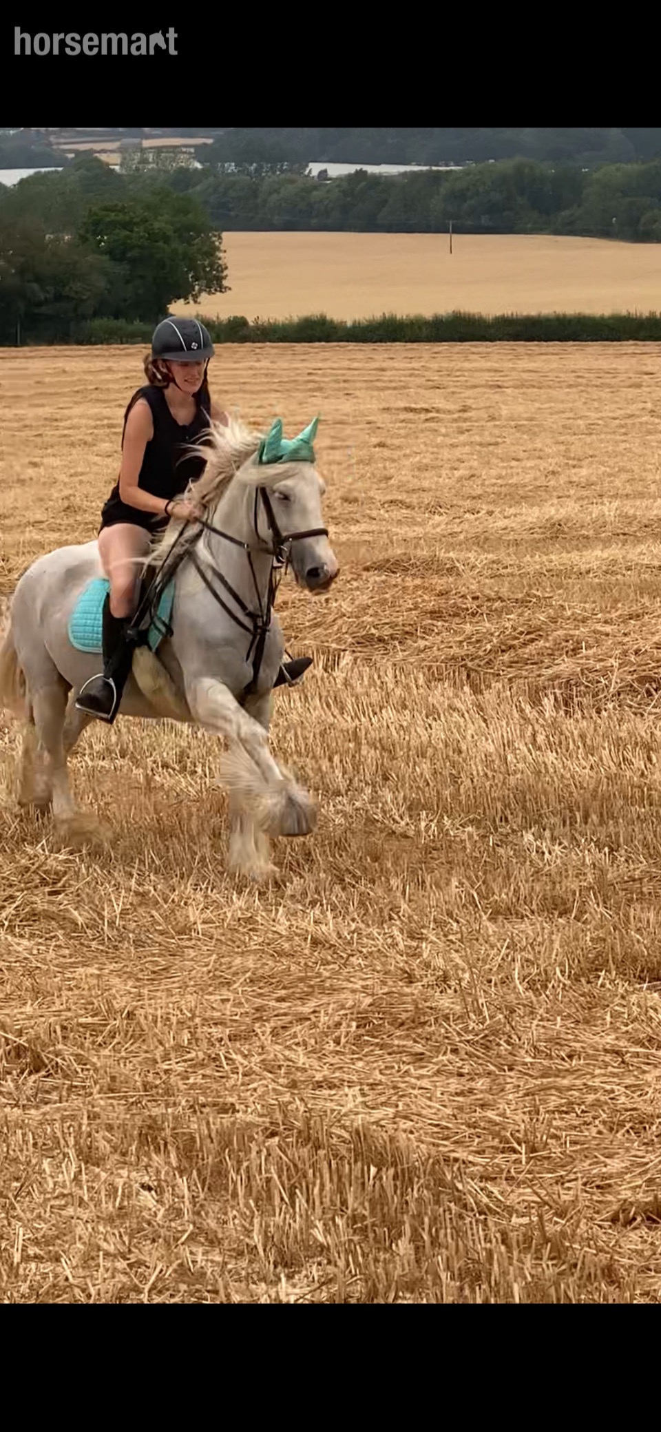 "Lola's Luck" Grey Mare All Rounder