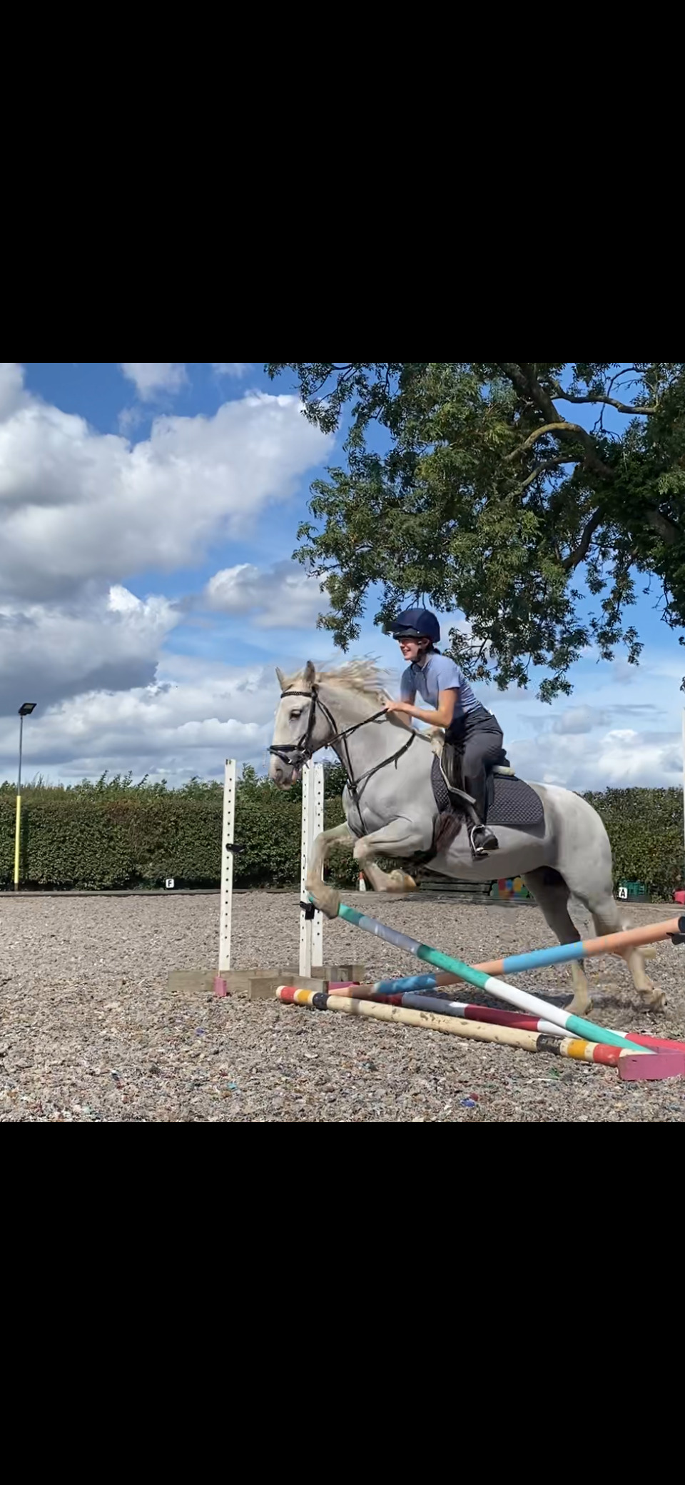 "Lola's Luck" Grey Mare All Rounder - Horses