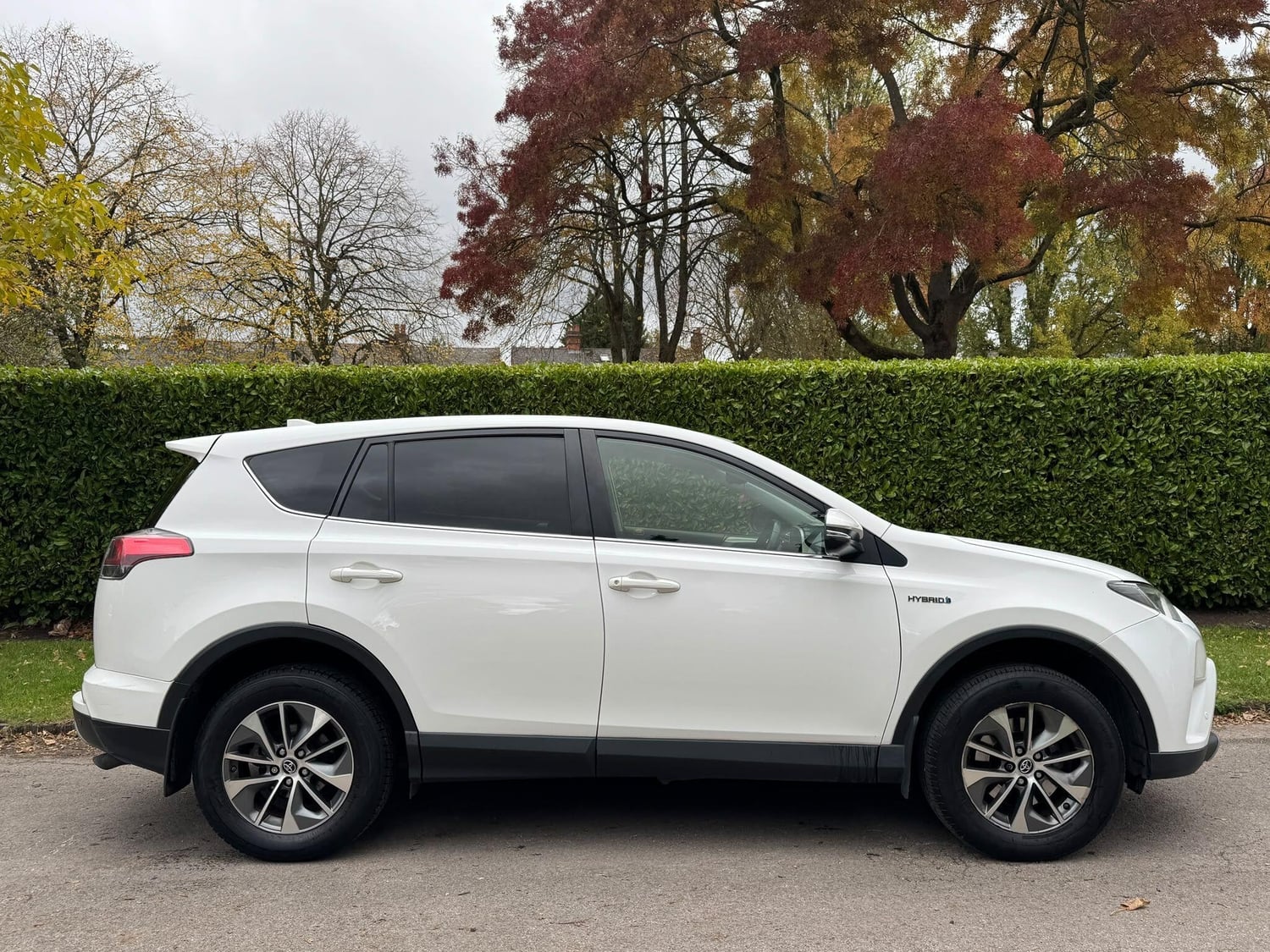 Toyota RAV4 2018 - Cars