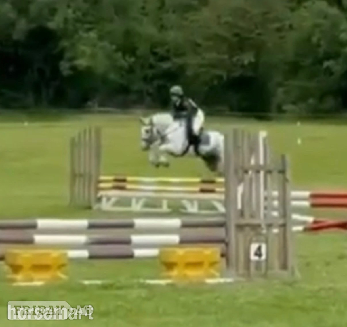 "Bluey " Blue &amp; White Gelding All Rounder