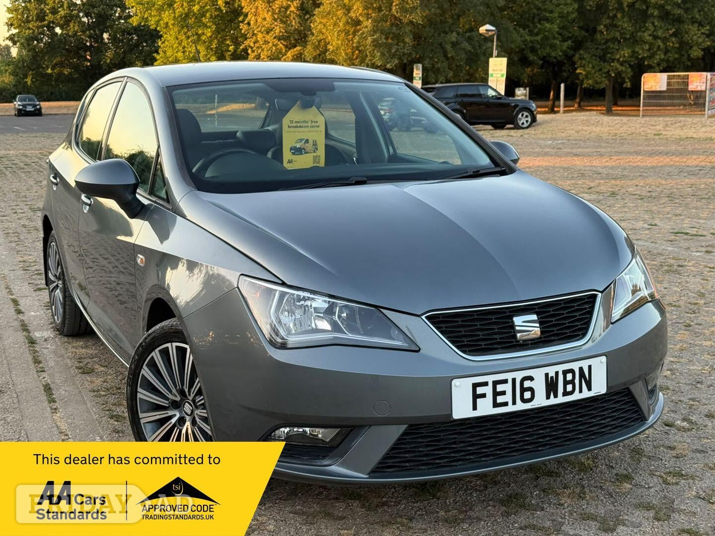 SEAT Ibiza 2016 in Swanley