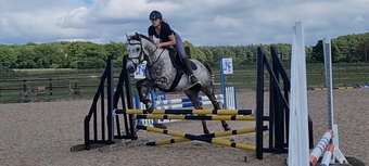 "Rielly" Dapple Grey Gelding All Rounder