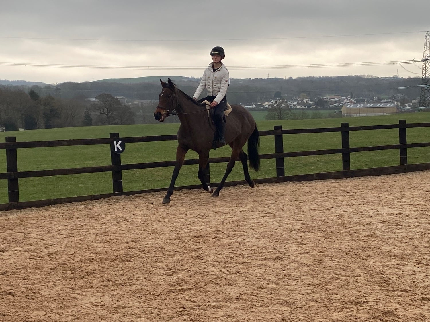 Blackburn "Ava" Bay Mare All Rounder