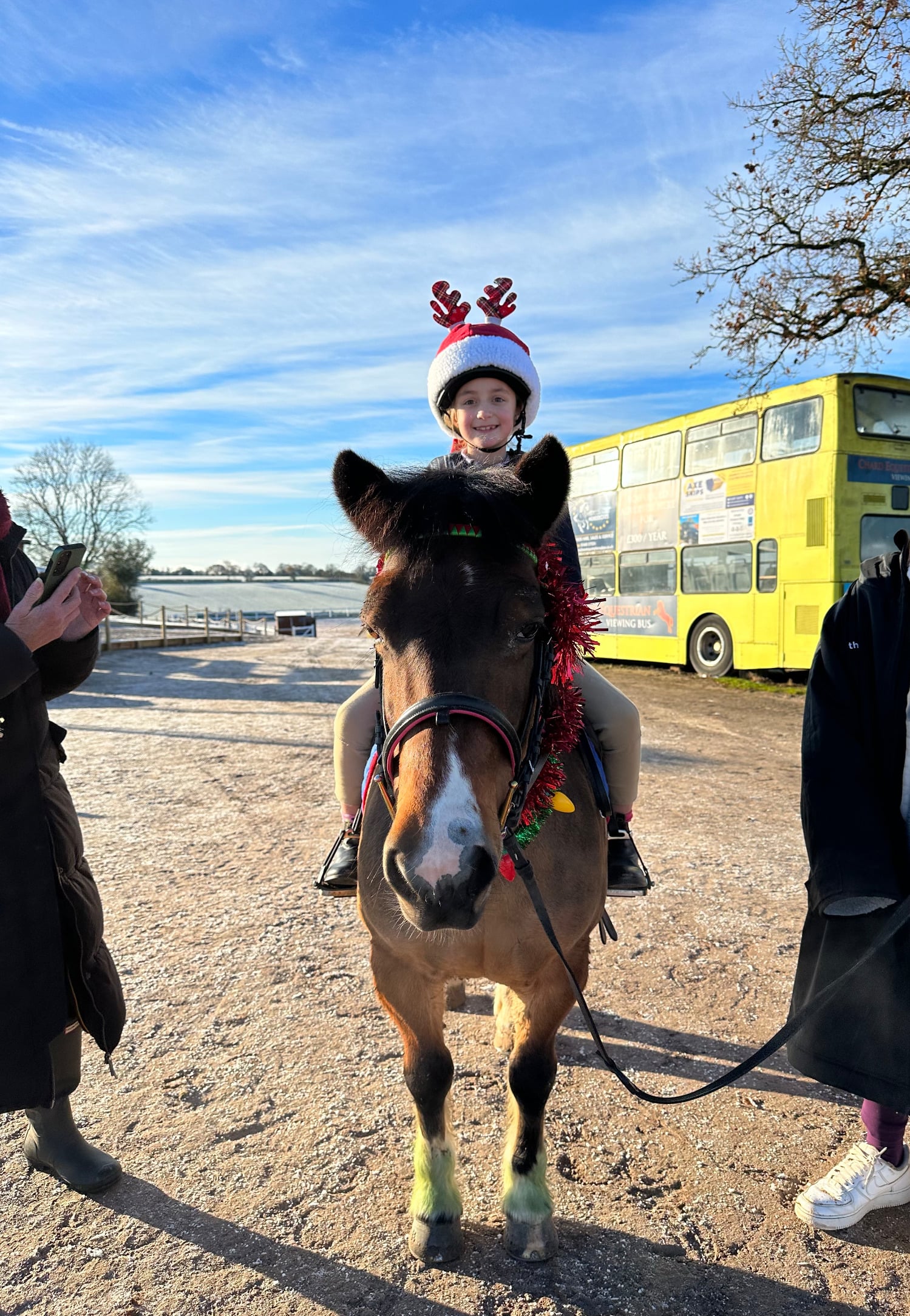 "Cherry" Skewbald Mare Pony Club Pony