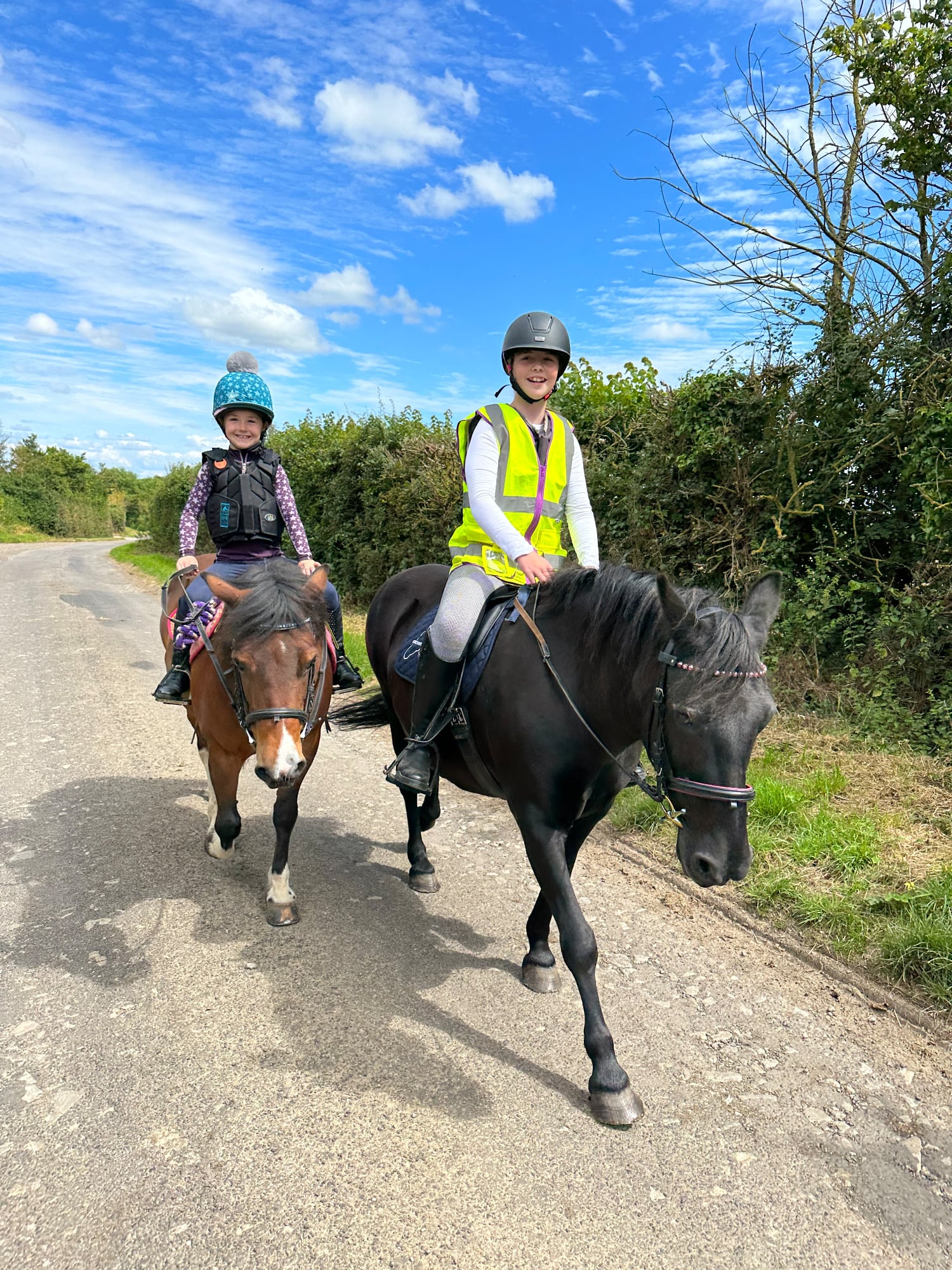"Cherry" Skewbald Mare Pony Club Pony - Horses in Podimore