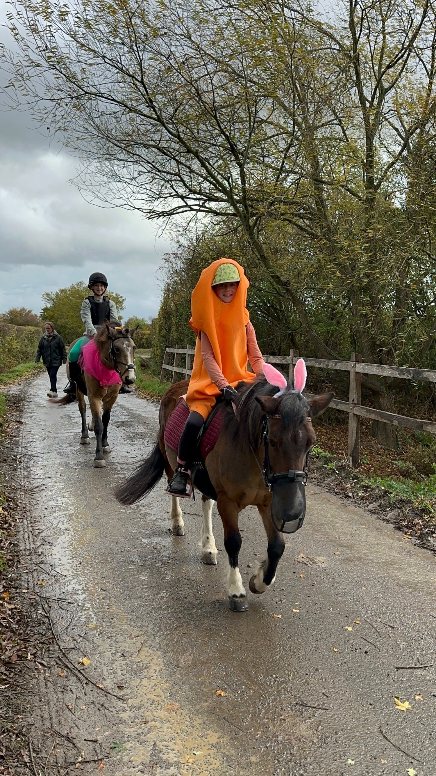 "Cherry" Skewbald Mare Pony Club Pony - Horses