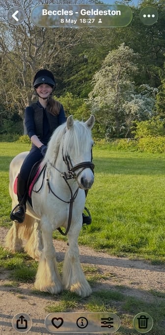 "Peggy" Grey Mare Happy Hacker