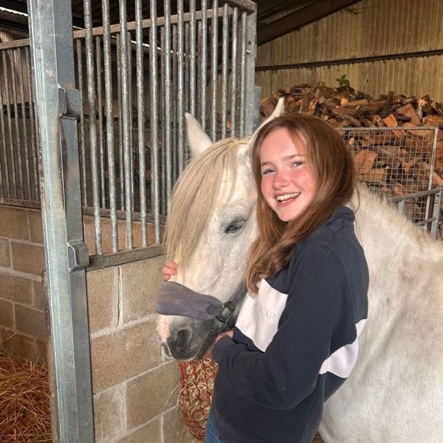 "Peggy" Grey Mare Happy Hacker