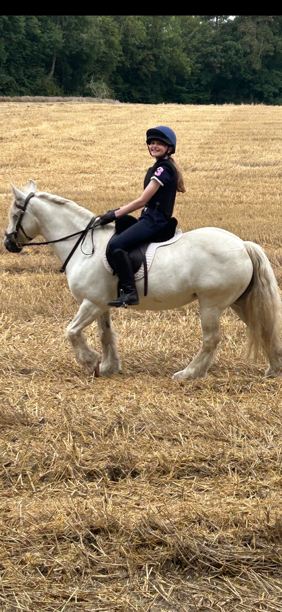 "Peggy" Grey Mare Happy Hacker - Horses