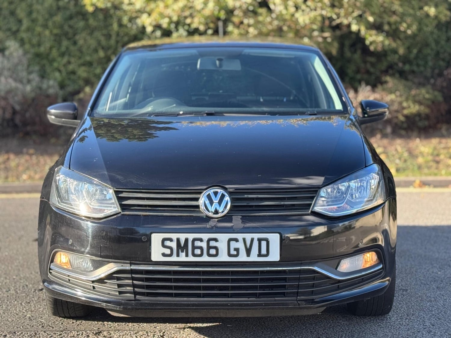 [ berth ]Volkswagen Polo