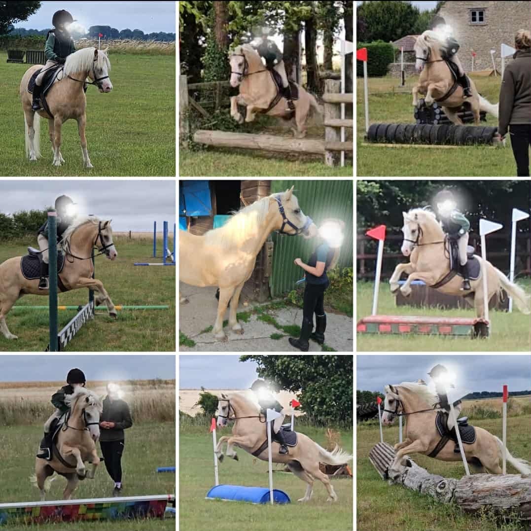 Tewkesbury "Ciliane Eros" Palomino Gelding Pony Club Pony