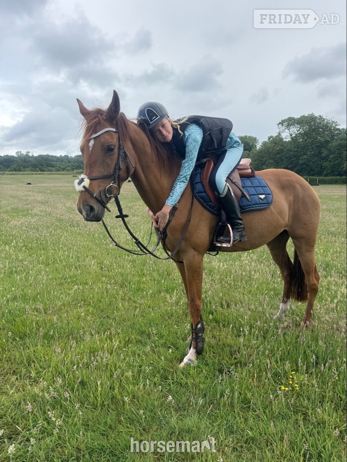 Tenterden "Nera" Chestnut Mare All Rounder