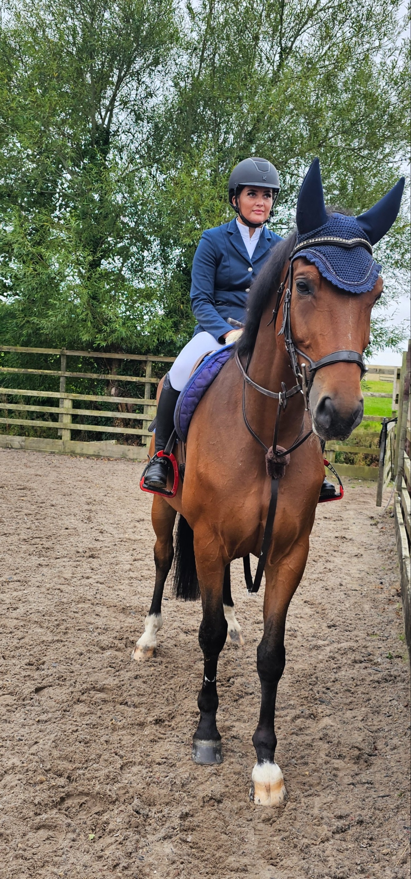 "Polo (PAOLO VAN HET HOF TEN AART )" Bay Gelding All Rounder - Horses in Euxton