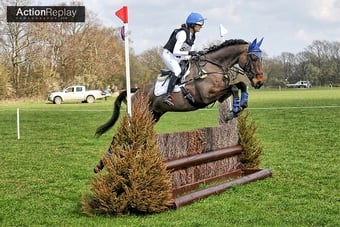 "Moidore" Bay Gelding Ex Racehorse