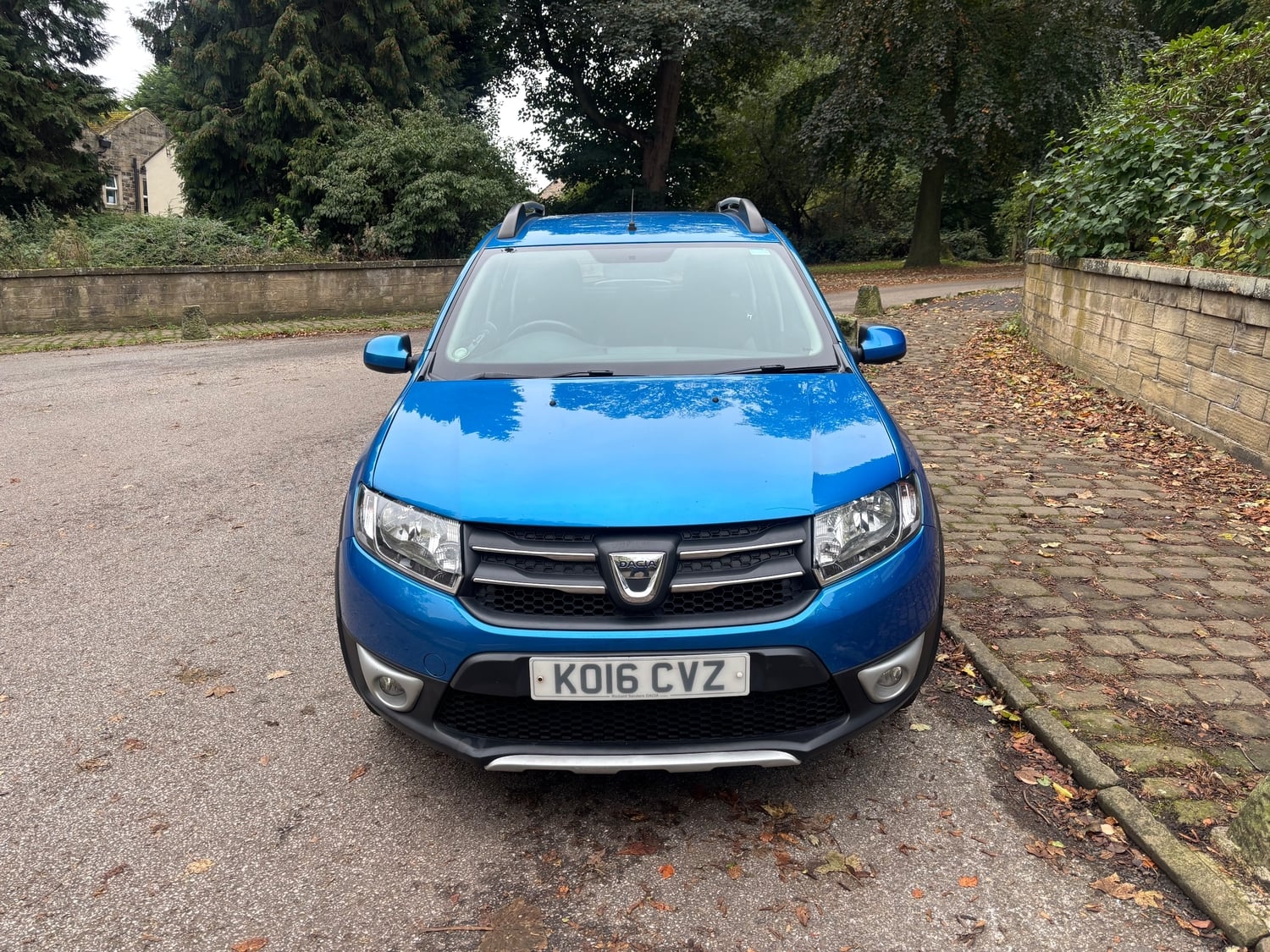 Dacia Sandero Stepway 2016 - Cars