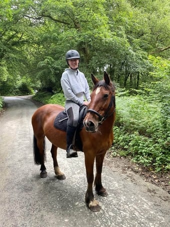 "Autumn " Bay Mare Happy Hacker
