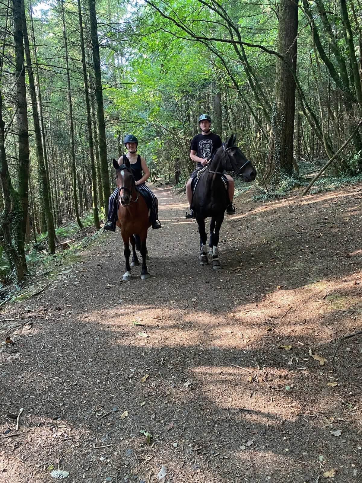 "Autumn " Bay Mare Happy Hacker