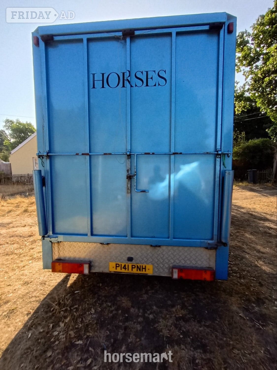 Custom  Iveco-ford Horsebox - Trailers & Horseboxes