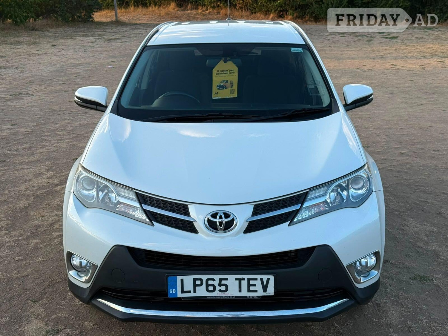 [ berth ]Toyota RAV4