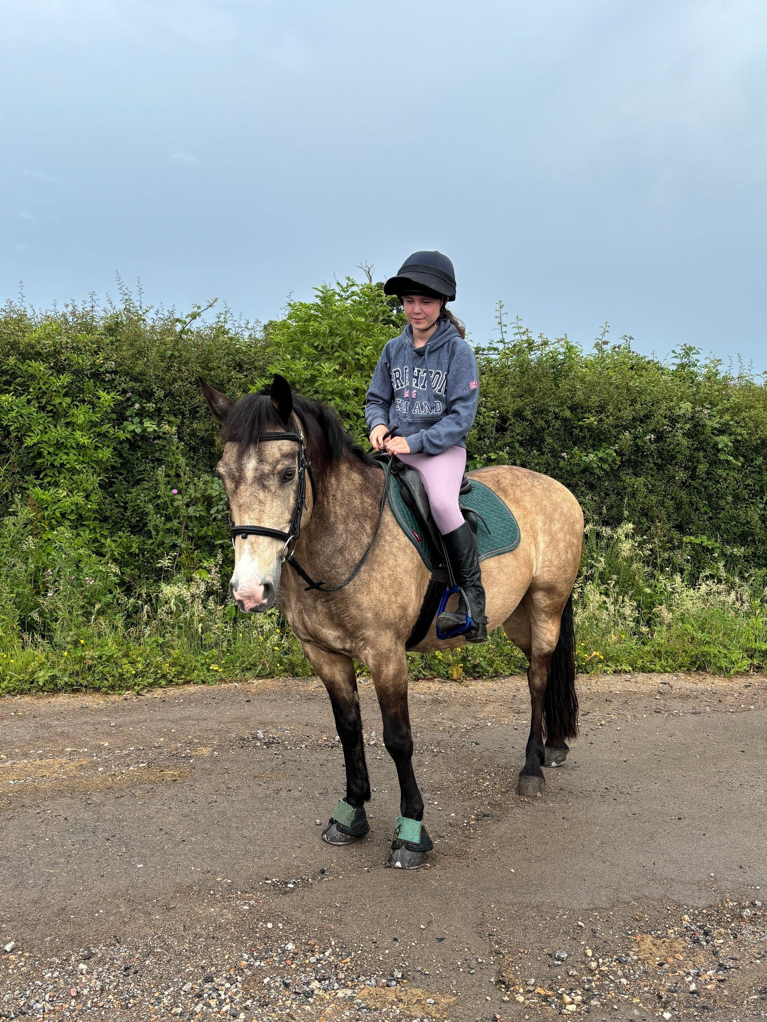 Haywards Heath Sharer for fun and forward 14.2 connie 2-3 days per week