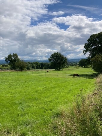 Land For Sale Property for sale in Kirkby Stephen