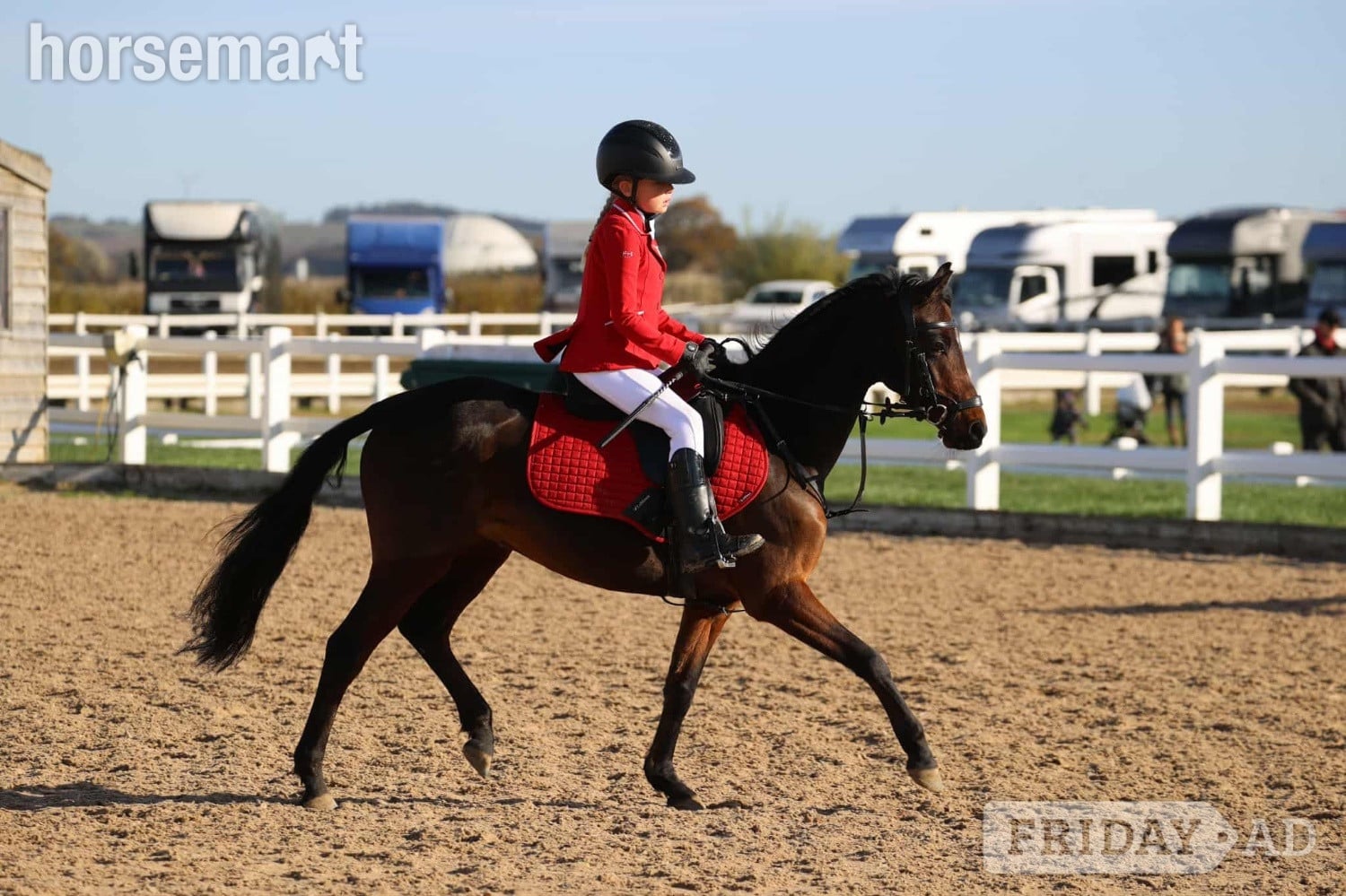 Durham "Summer " Bay Mare Lead Rein/First Ridden Pony