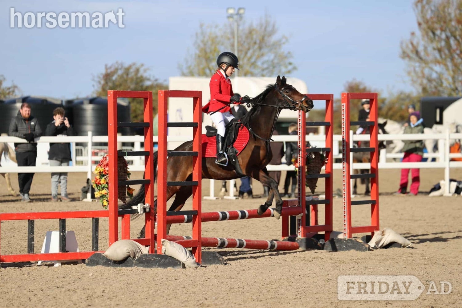 "Summer " Bay Mare Lead Rein/First Ridden Pony - Horses in Durham