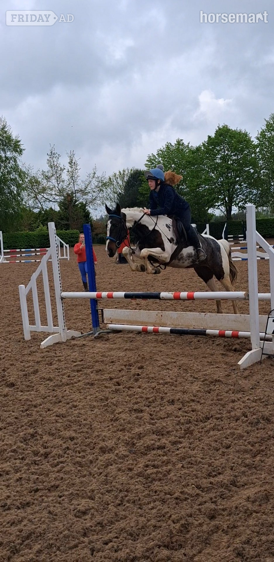 "Fea" Skewbald Mare All Rounder in Armagh