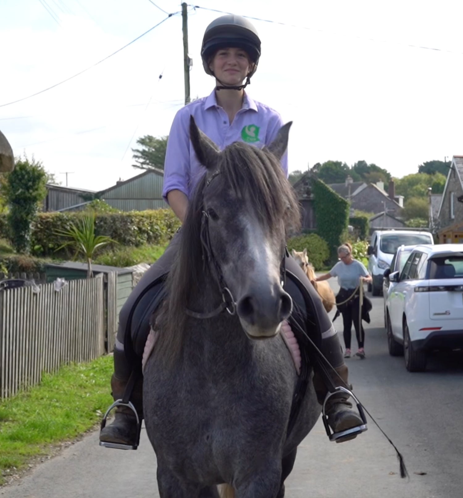 "Bodhi" Steel Grey Gelding All Rounder