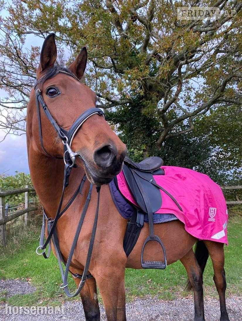 Sharer required for beautiful hacking on the Ashdown Forest 