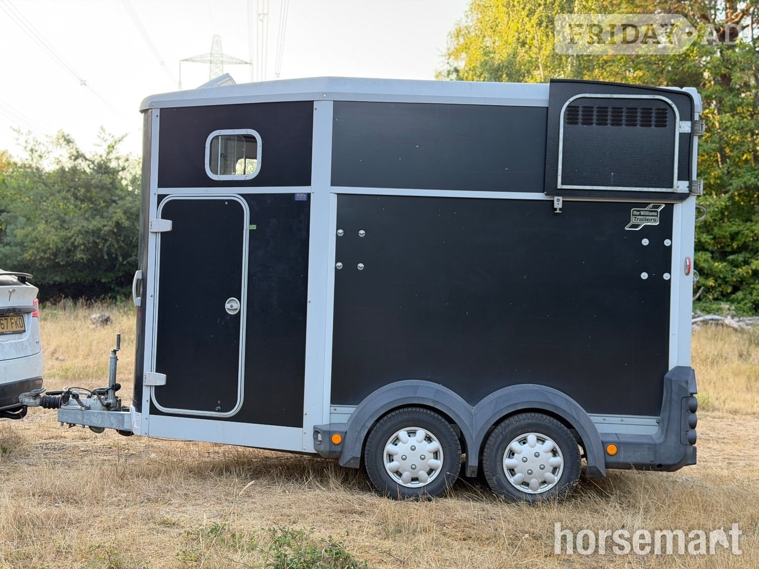 Ifor Williams HB511  Horse Trailer - Trailers & Horseboxes in Southampton