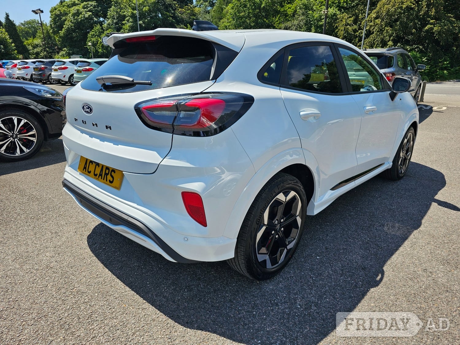 [ berth ]Ford Puma