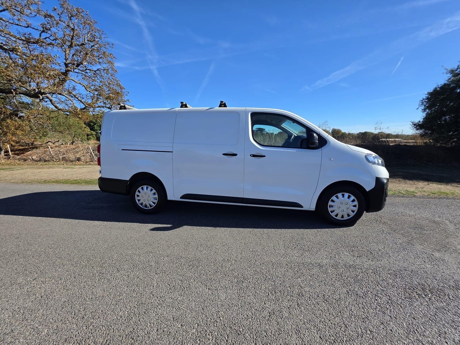 Vauxhall Vivaro 2019 - Vans & Commercial Vehicles in Slough