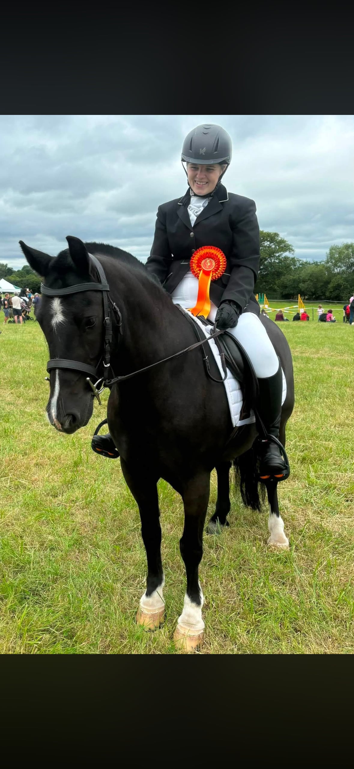 "Cedrick " Black Gelding All Rounder