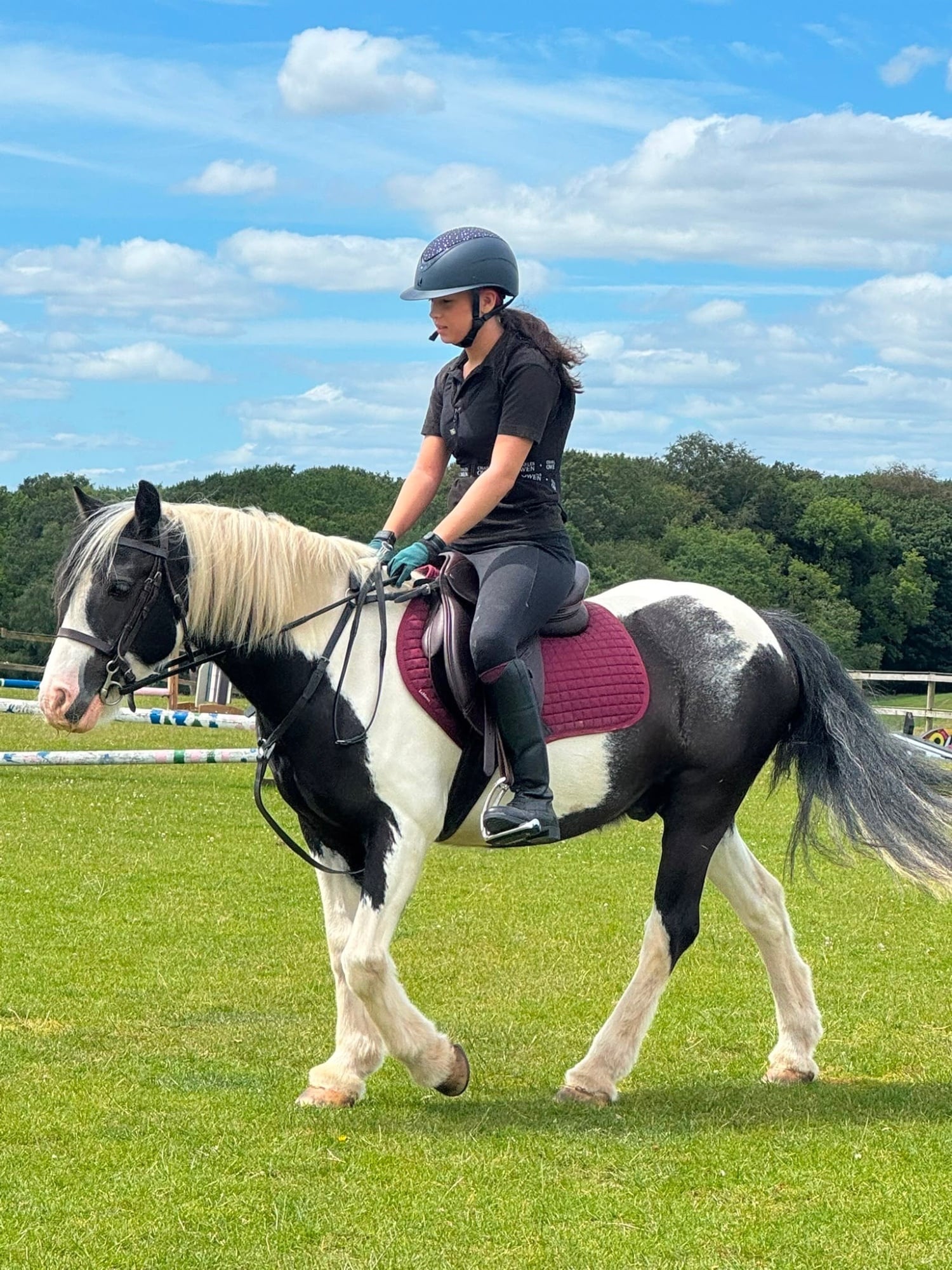"Mr Tom" Piebald Gelding Schoolmaster